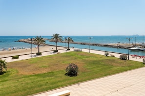 A coastal promenade with a grassy area, palm trees, and a view of the sea.