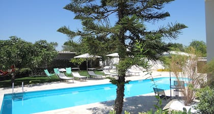 HOLIDAY HOUSE AUGUSTO - MONOLOCALE STELLA MARINA