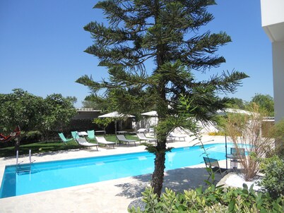 HOLIDAY HOUSE AUGUSTO - MONOLOCALE STELLA MARINA                            
