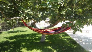 Una hamaca bajo un árbol en un área con césped.