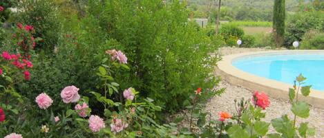 Piscine extérieure (ouverte en saison)