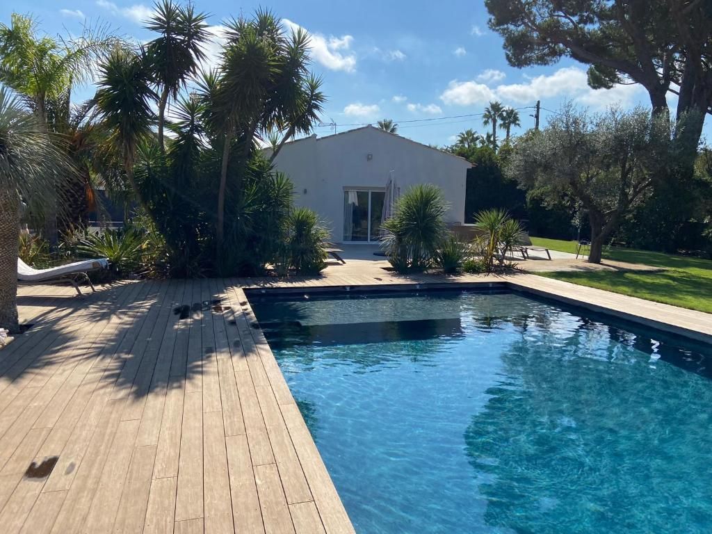 A swimming pool with a wooden deck, surrounded by palm trees and a building with a white facade.