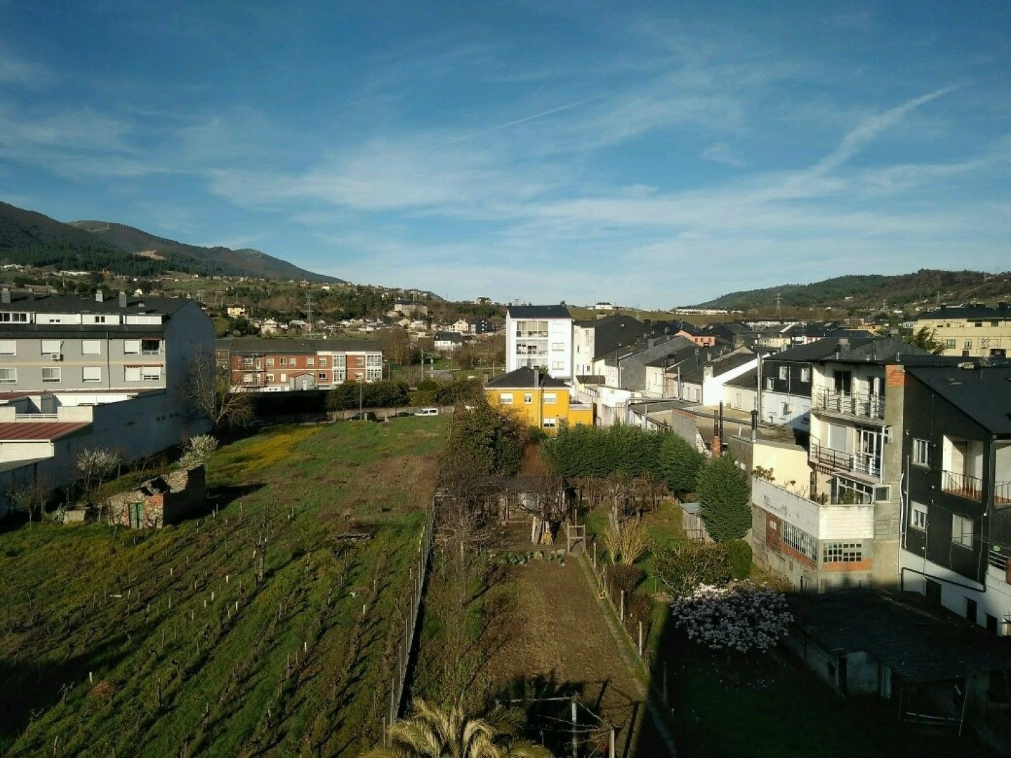 A residential area with modern buildings, a vineyard, and a clear sky.