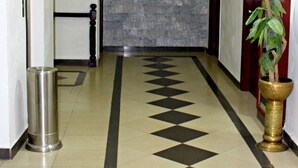 A hallway with a patterned floor, a trash can, a potted plant, and a door with a mirror. - Hotel Akbar International (Rawalpindi)