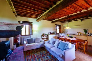 Smart TV, chimenea, reproductor de DVD y libros 