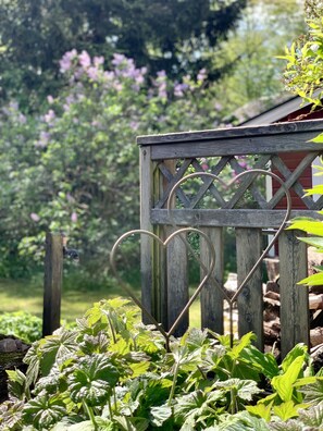 Stroll through a serene garden featuring lush greenery and a charming lattice structure.