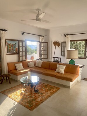 TV, caminetto, libri