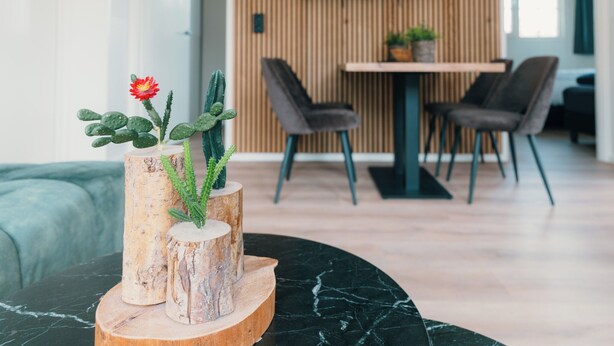 Un saló modern amb una taula de dinar de fusta i cadires, una taula baixa amb un cactus i una flor, i un panell de fusta al fons.
