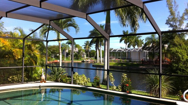 A pool area with a glass enclosure, a bird on a stand, and a view of a lake with palm trees and a building in the background. - VILLA SUNSET KISS•SW•DREAMLESS BEAUTIFUL•CHANNEL CROSSING WITH SEA ACCESS ***** (Cape Coral)