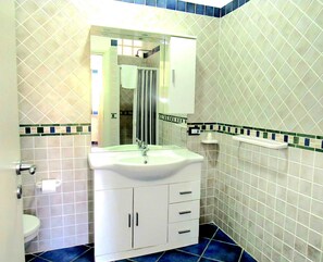 Shower, hair dryer, bidet, towels