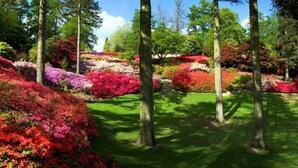 Ein Garten mit hohen Bäumen und bunten Blütensträuchern.