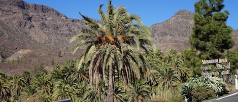 Jardines del alojamiento