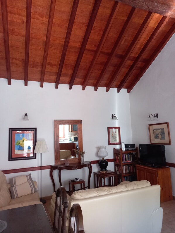 TV, DVD player, books, music library