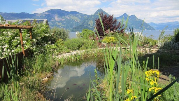 A garden with a pond, surrounded by mountains and a lake.
