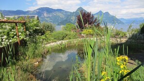 Terrain de l’hébergement 