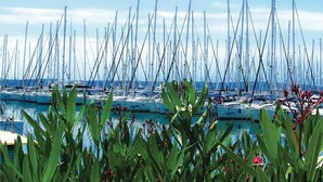 A marina with numerous sailboats docked in calm waters, surrounded by greenery. - Amazing home in Kastel Sucurac (Kastel Sucurac)
