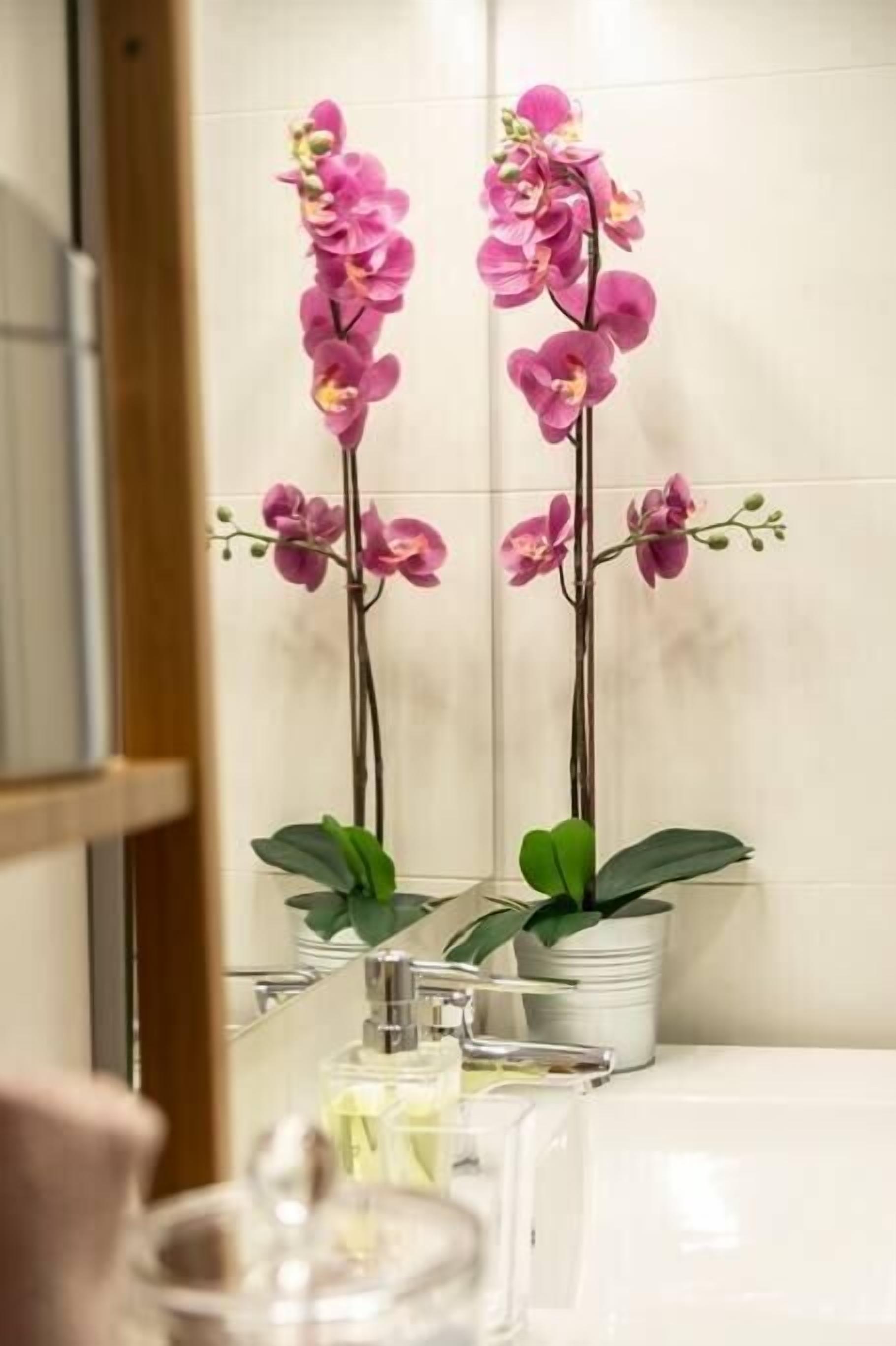A bathroom with two orchid plants on the counter and a mirror reflecting the plants.