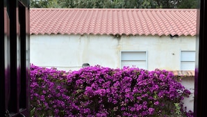 Une vue à travers l’entrée d’un bâtiment dont le toit est recouvert de tuiles rouges, avec un mur orné d’arbustes aux fleurs violettes et une zone pavée avec de l’herbe.