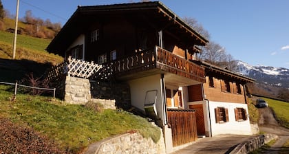 The rustic holiday home on the sunny slope