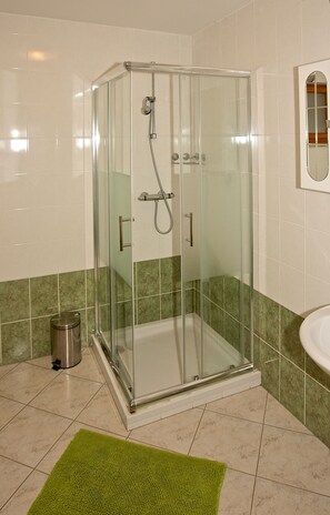 Shower, hair dryer, bidet, towels