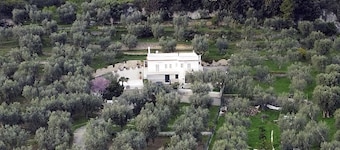House with garden