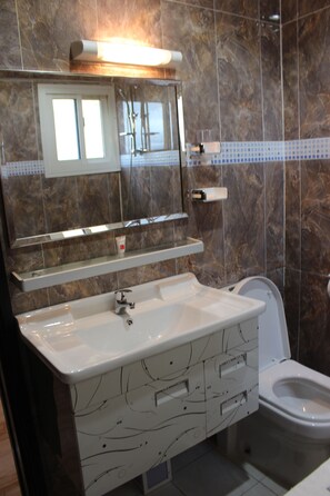 Bathroom features a large sink, toilet, and mirror with a shelf below.