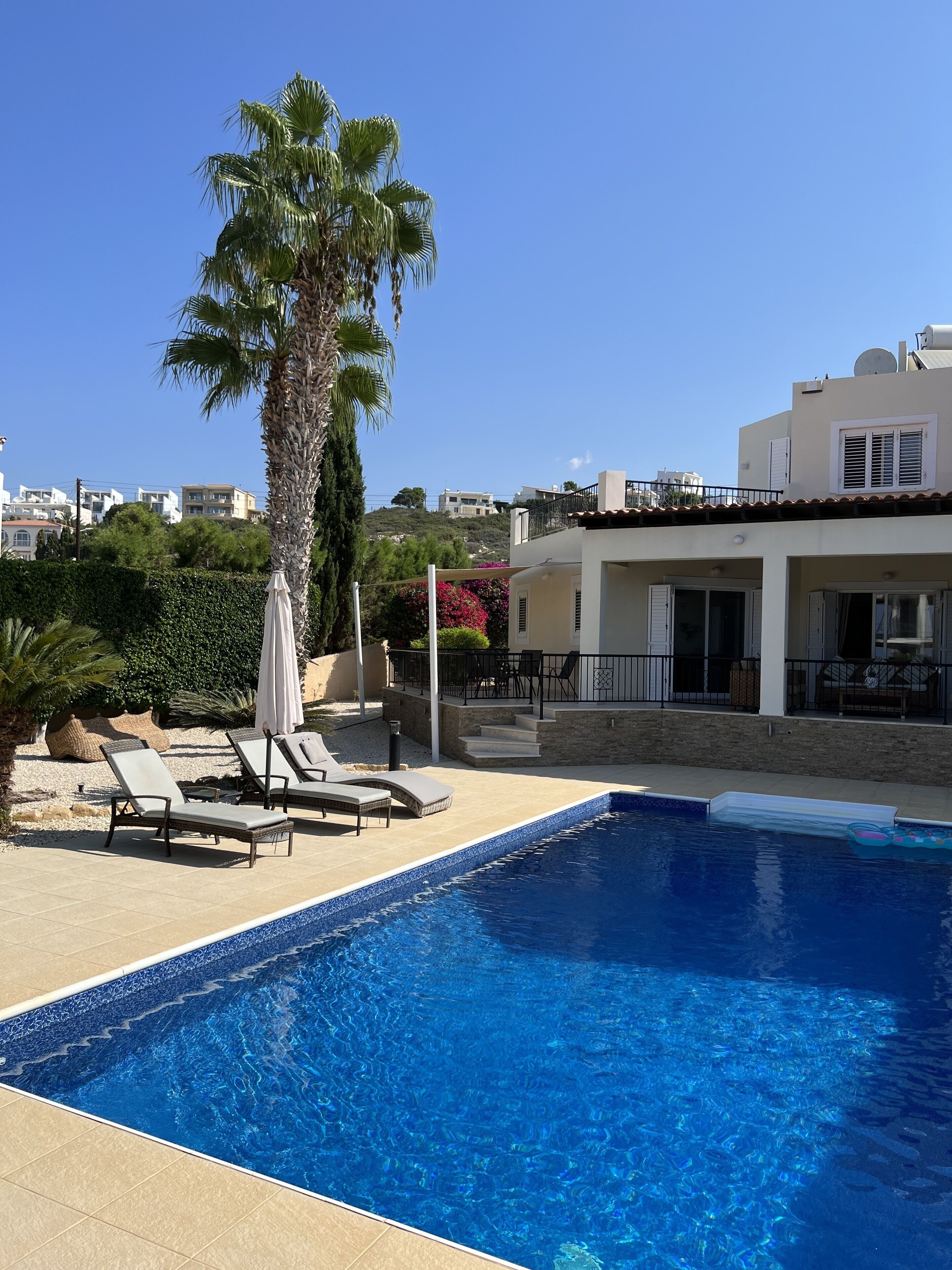 Una piscina con sillas de descanso y una palmera.