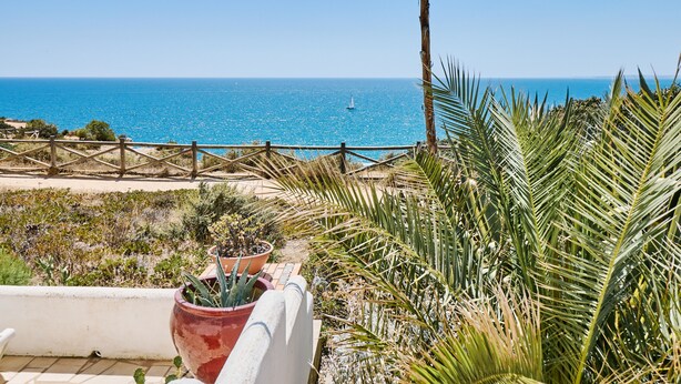 Une vue sur la côte, avec une clôture en bois, des plantes en pot et un ciel bleu dégagé.