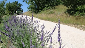 Overnatningsstedets område