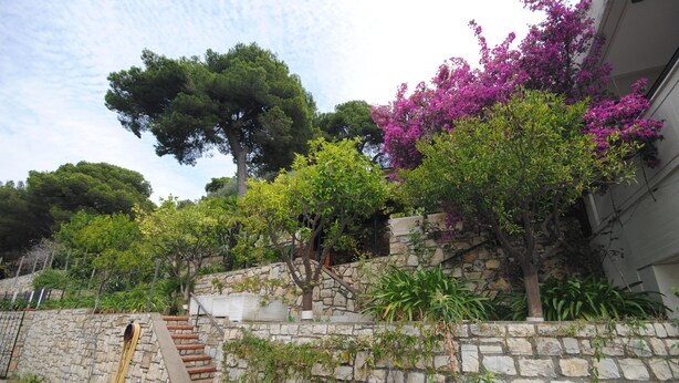 Un escalier en pierre mène à un bâtiment dont le mur est également en pierre et qui est agrémenté de différentes plantes.