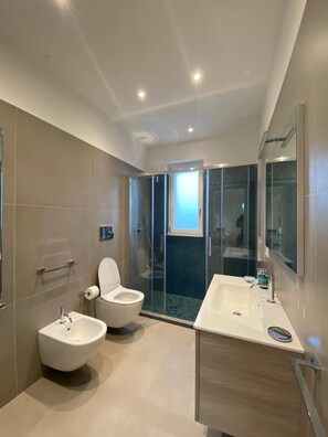 Shower, hair dryer, bidet, towels
