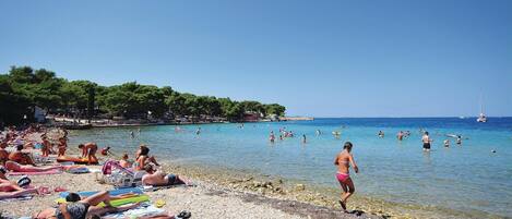 Playa en los alrededores
