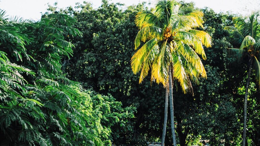 Hotel Diriá Santa Cruz