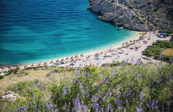 Beach nearby, fishing