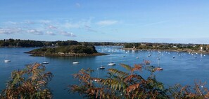 Un port où se trouvent de nombreux bateaux et une petite île couverte de végétation.