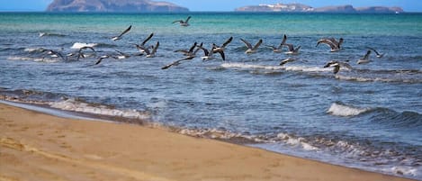 Playa en los alrededores