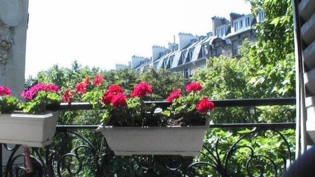A balcony with potted red flowers, a wrought iron railing, and a view of buildings in the background.