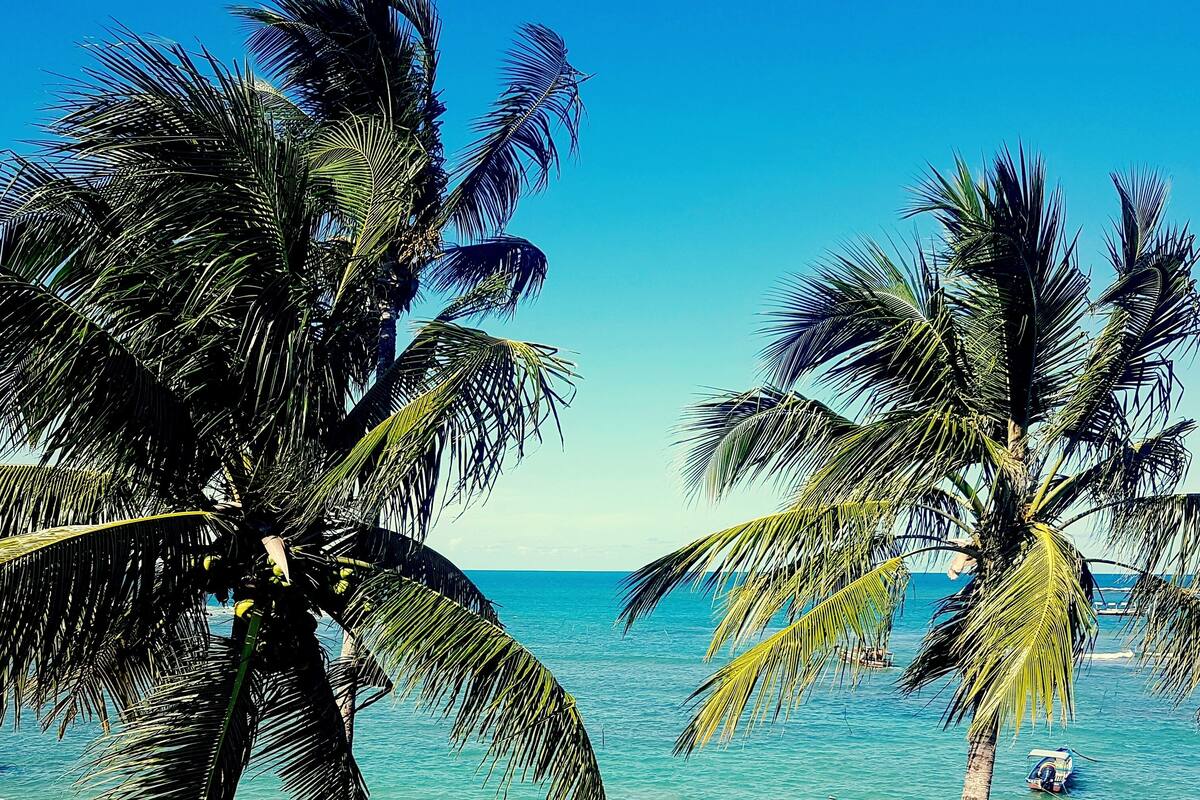 A beach with palm trees and a clear blue sky.