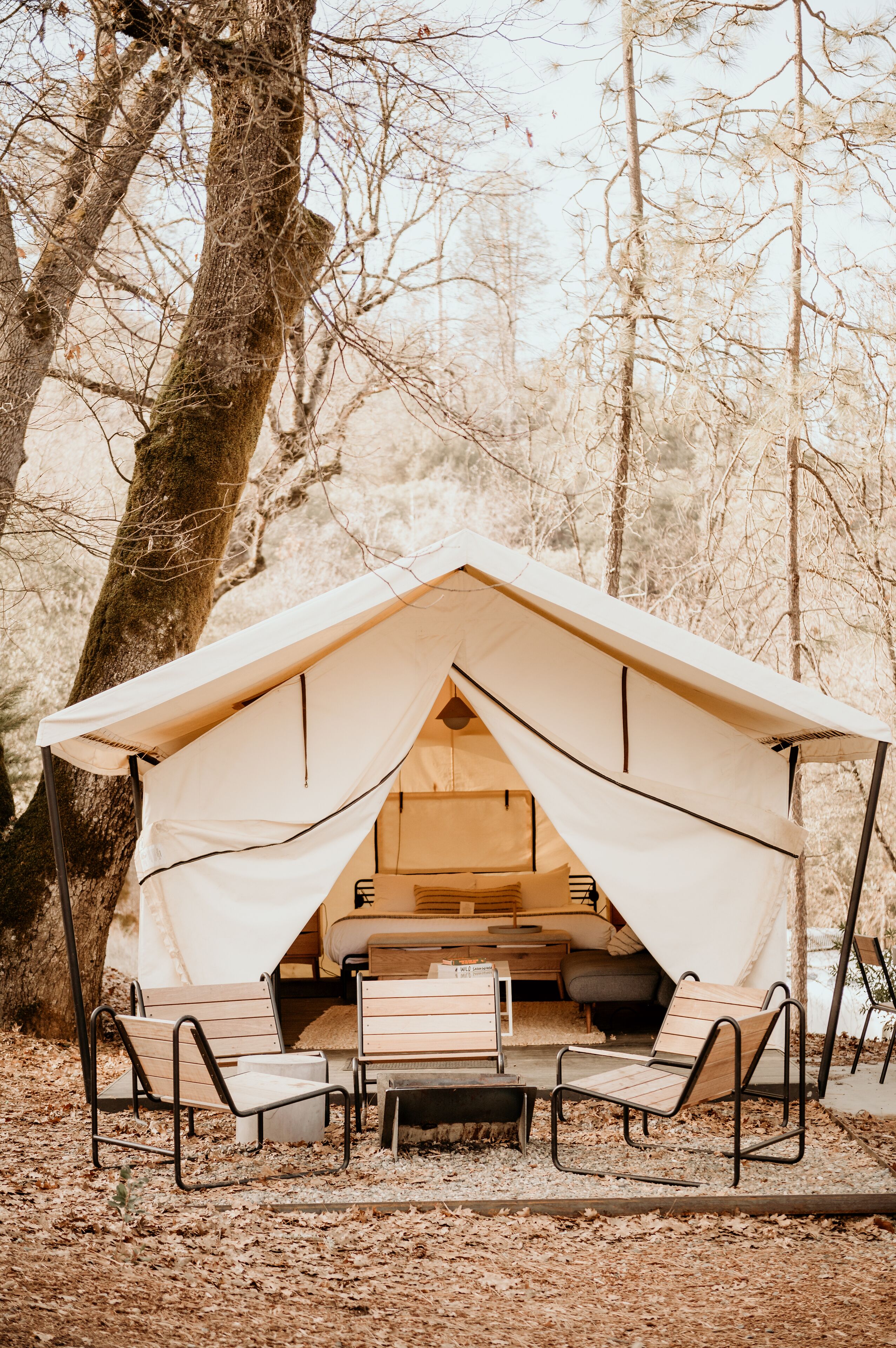 A tent with a flat roof, a table, and two benches in a forest setting.
