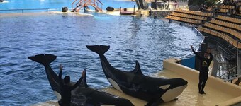 150 m from the beach, beautiful sunsets, WiFi, Sat TV