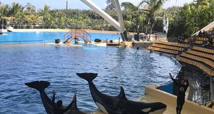 150 m vom Sandstrand, traumhafte Sonnenuntergaenge, WiFi, Smart TV