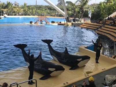 150 m from the beach, beautiful sunsets, WiFi, Sat TV