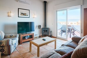 Télévision, cheminée, lecteur de DVD, livres