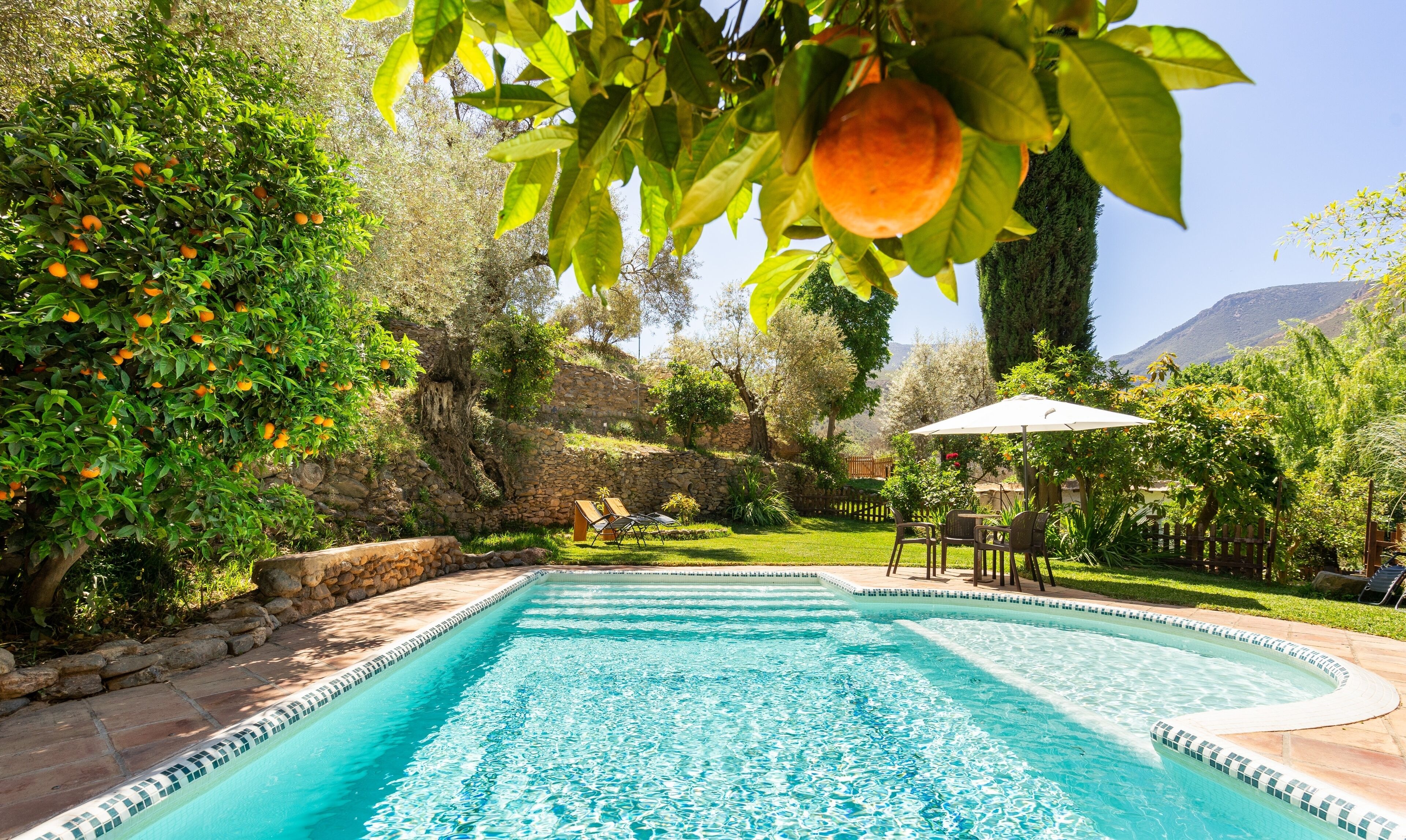 Alberca al aire libre 