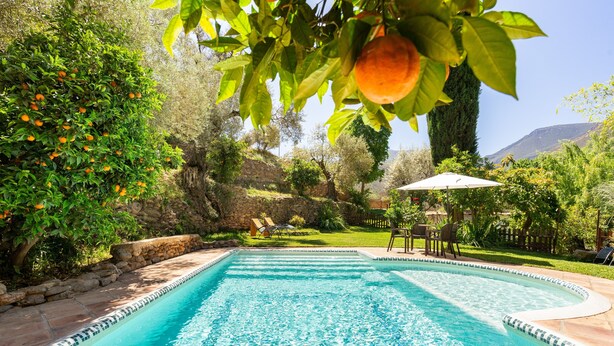 Piscina rodeada por vegetação exuberante e um muro de pedra.