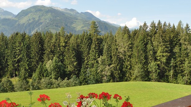A wooden balcony with a view of a green field and a forested mountain range.