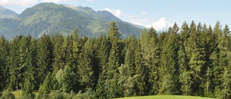 المنطقة المحيطة بالمنشأة