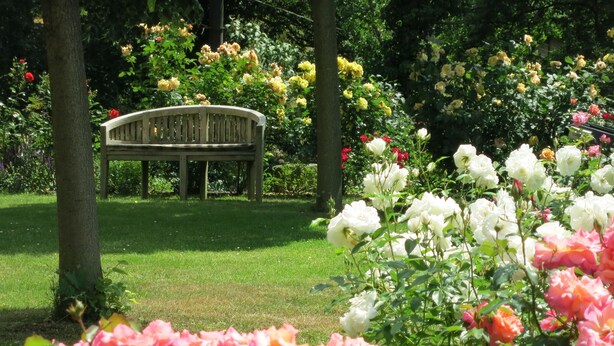 Eine Bank in einem Garten mit verschiedenen Blumen.
