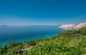 Een kustlandschap met wijngaarden, een heldere blauwe zee en een heuvellig gebied.