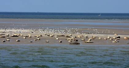 Te mereces estas vacaciones ...